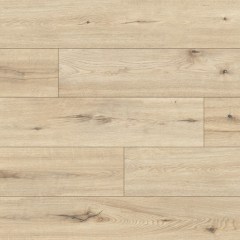 profiltrend_20260615_62 (1)